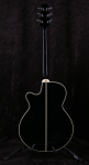 
                            Takamine PT-106